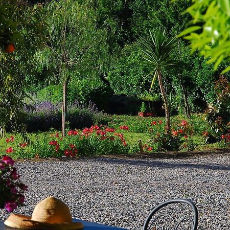 Agriturismo Coppi Rossi Torrazza  Exterior foto