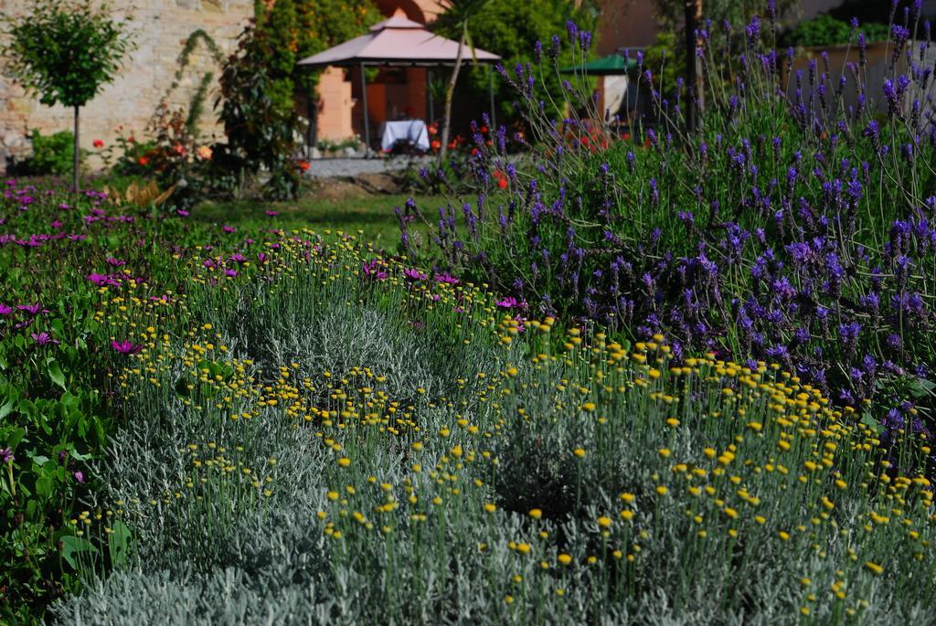 Agriturismo Coppi Rossi Torrazza  Exterior foto